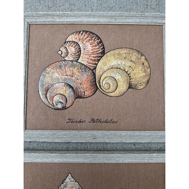 Textile Art With Shell Designs, a Set of Two, Framed For Sale - Image 4 of 6