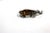Ancient Huge Baltic Amber in Artisan Sterling Organic Setting Pendant For Sale - Image 4 of 4