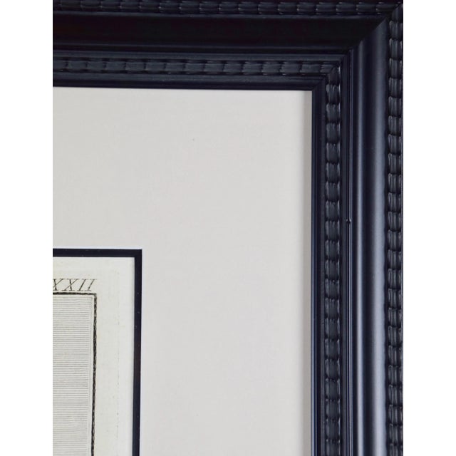 Gray Grouping of Three 18th C. Engravings of Ancient Roman Statues in the Vatican, 1784 For Sale - Image 8 of 12