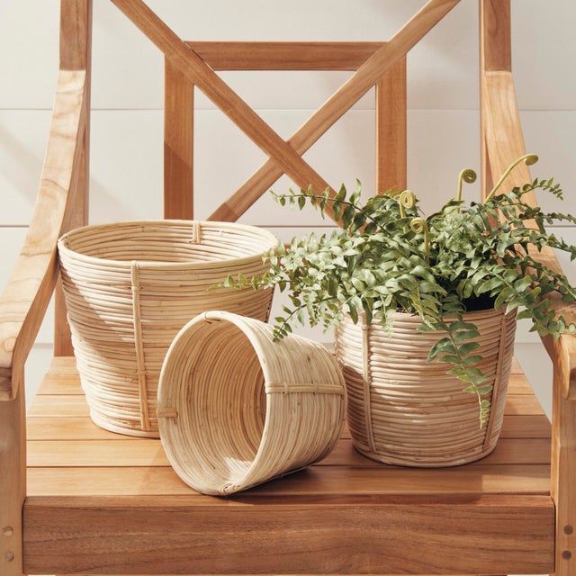 Boho Chic Cane Rattan Mini Round Baskets, Set Of 3 For Sale - Image 3 of 5