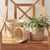 Boho Chic Cane Rattan Mini Round Baskets, Set Of 3 For Sale - Image 3 of 5