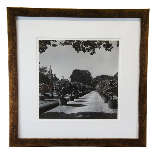 Contemporary Black and White Decorative Garden Photographs in Gold Frames of Castle Lion Statue - Set of 3 For Sale - Image 3 of 12