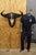 Vintage African Cape Buffalo Skull European Mount on Wooden Plaque Taxidermy. Circa Late 20th Century. Measurements...