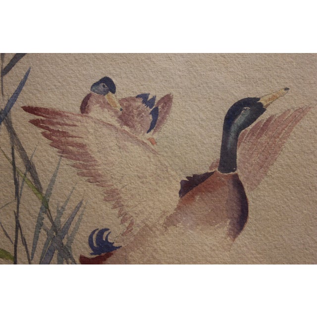 Mid-Century Modern Chester Dixon Snowden 1 Study of Ducks Watercolor Painting 1960's For Sale - Image 3 of 7