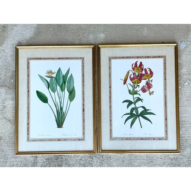 Wood Vintage Ehret Botanical Prints - Set of 2 For Sale - Image 7 of 12