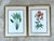 Wood Vintage Ehret Botanical Prints - Set of 2 For Sale - Image 7 of 12
