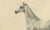 August Jäger, Horse Bairaktar, 1846, Paper Lithograph For Sale - Image 4 of 10