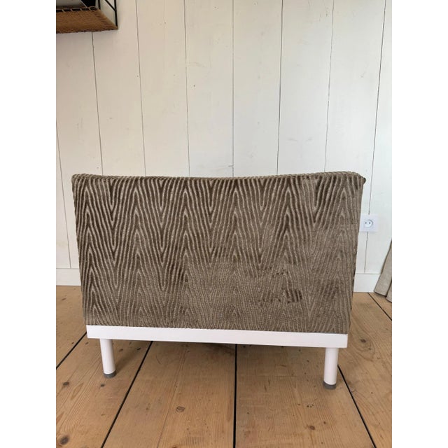 New velvet fabric from Fadini Borghi