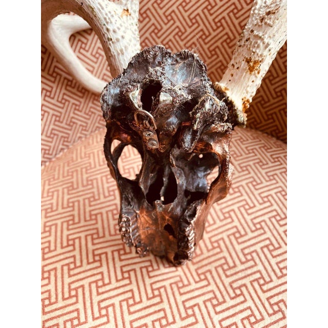 Authentic Large Decorative Copper Coated Deer Skull Rustic Cabin Decor Art For Sale - Image 11 of 11