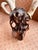 Authentic Large Decorative Copper Coated Deer Skull Rustic Cabin Decor Art For Sale - Image 11 of 11