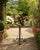 A beautifully crafted large iron armillary sphere, evoking the timeless elegance of classical European gardens. Pieces...