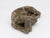English Reconstituted Stone Dog Spaniel Garden Ornament, England 20th Century For Sale - Image 3 of 9