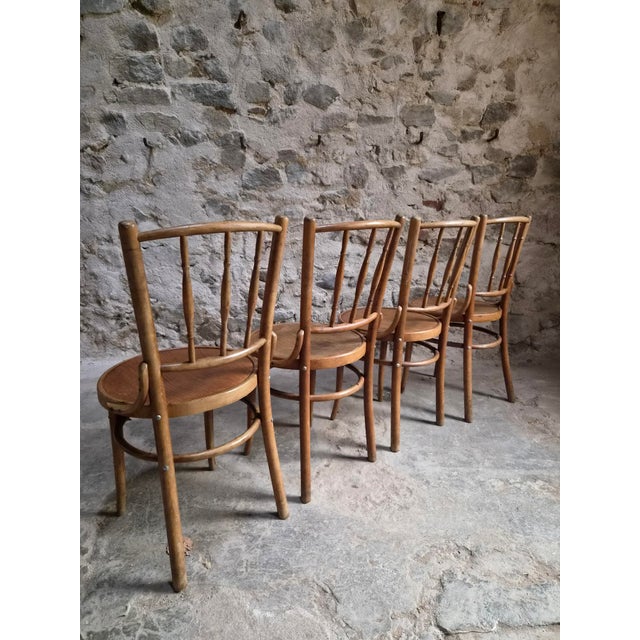Vintage Bentwood Bistro Chairs from Fischel, Czechoslovakia, 1940s, Set of 4 For Sale - Image 15 of 18