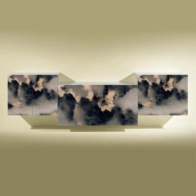 Lacquer Cabinet with photo printed in aluminium. Piece with artistic intervention of Duarte Guedes.