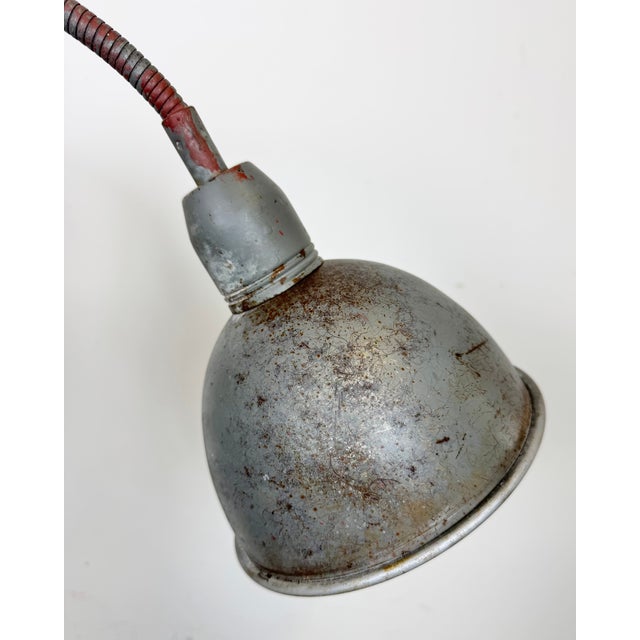 Industrial Grey Gooseneck Scissor Wall Lamp from Elektroinstala, 1960s For Sale - Image 11 of 18