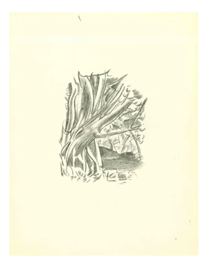 Emmanuel Gondouin, African Forest, Original Lithograph, 1930s