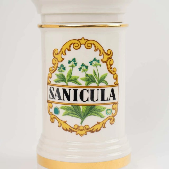 Mid-Century Modern 1970s Vintage Ceramic Sanicula Apothecary Jar For Sale - Image 3 of 11