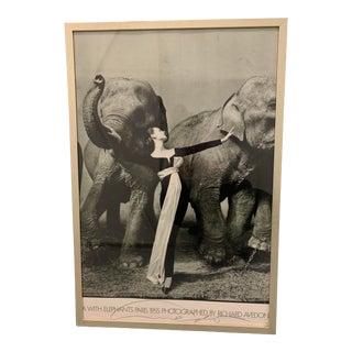 Signed Richard Avedon Dovima With Elephants Framed Poster For Sale