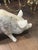 Painted White Cast Iron Pigs, Set of 2 For Sale - Image 9 of 15