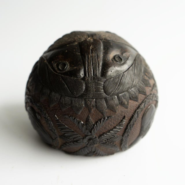Late 18th Century Antique Sailors Bugbear, Naive Folk Art Carved Coconut, Late 18th/Early 19th Century For Sale - Image 5 of 17