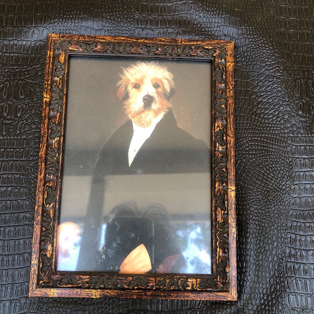 1980s Dog in Formal Wear For Sale - Image 4 of 11