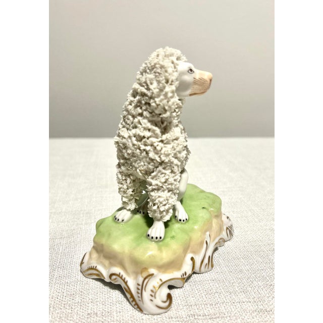 A striking example of German Dresden porcelain artistry, this elegant poodle figurine is richly decorated with intricate...