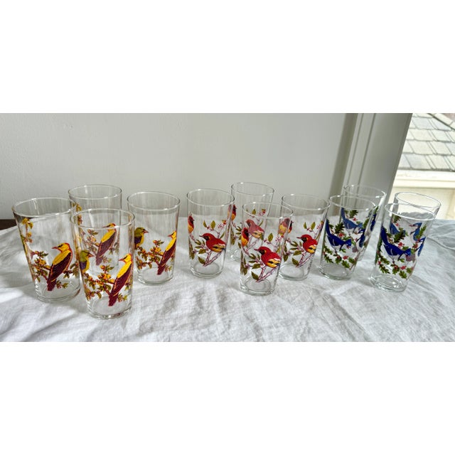 Vintage Juice Glasses With Colorful Birds - Set of 12 For Sale - Image 4 of 8