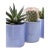 Two Glazed La Fermiere Multi-Purpose Periwinkle Blue Pots - Plants Candles For Sale