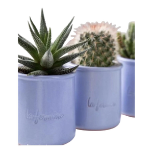 Two Glazed La Fermiere Multi-Purpose Periwinkle Blue Pots - Plants Candles