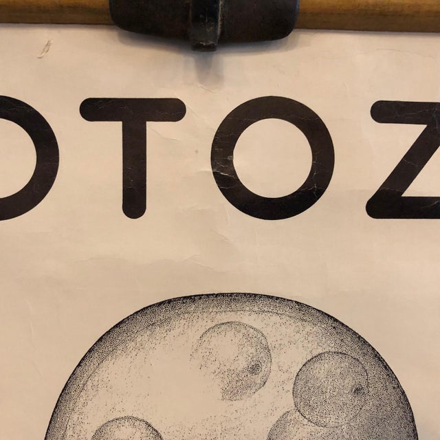 Mid 20th Century Anatomical Protozoa Organisms Rollup Chart by New York Scientific Supply Co. For Sale - Image 9 of 12