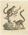 Karl Joseph Brodtmannm, Ring-Tailed Lemur, 1816, Lithograph For Sale