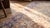 1930s Persian Tabriz Carpet ( 8'2" x 11'4" - 250 x 345 ) For Sale - Image 10 of 10
