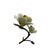Delicate vintage Italian Capodimonte porcelain floral sculpture featuring a bouquet of three hand-formed roses in creamy...