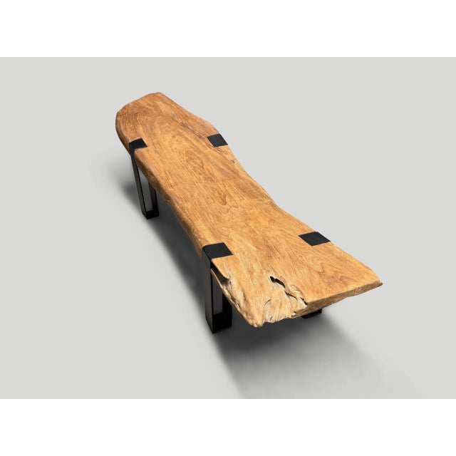 Andrianna Shamaris Impressive Teak Wood and Metal Chaise or Bench For Sale - Image 9 of 18