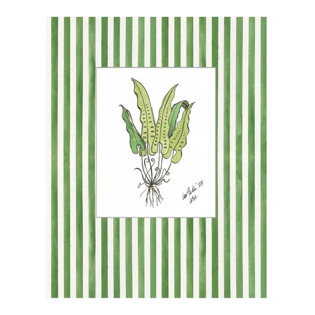 "Ferns With Green Striped Mat" Contemporary Original Still Life Whimsical Botanical Print by Lia Burke Libaire For Sale