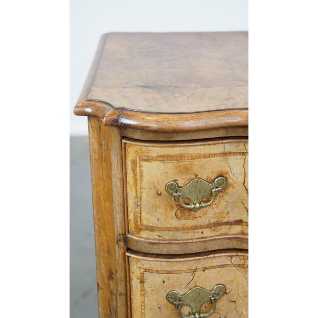 18th Century Baroque Organ-Curved Burr Walnut Wooden Chest of Drawers For Sale - Image 9 of 15