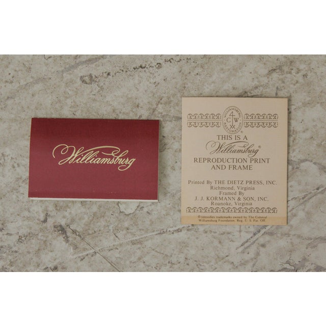 Colonial Williamsburg Dietz Press Botanical Print December Chairish