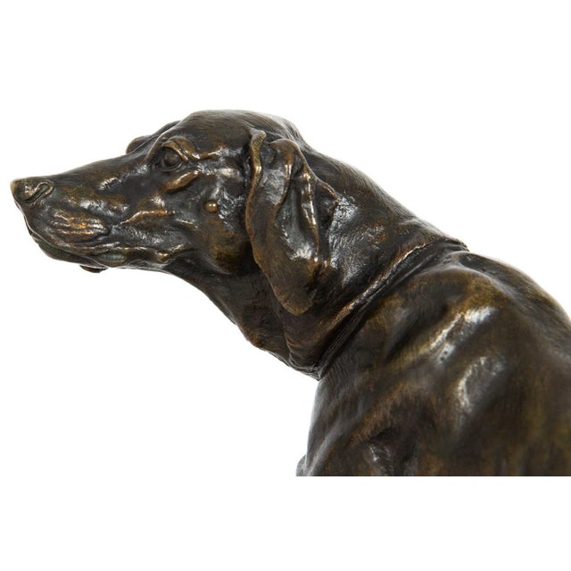 19th Century French Antique Bronze Sculpture of Dog With Rabbit by Pierre Jules Mêne For Sale - Image 5 of 12