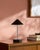 Illuminate your space with a touch of mid-century modern flair, courtesy of the Nomelle accent table lamp. Standing at an...