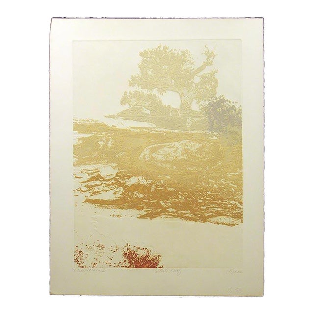 1980s Paula Crane "Rock Garden Ii" Hand Signed LTD Ed Art Etching For Sale
