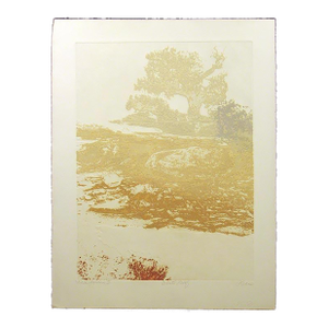 1980s Paula Crane "Rock Garden Ii" Hand Signed LTD Ed Art Etching