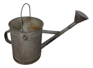 Garden Watering Can in Metal