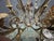 Large Florentine Tole Chandelier with Murano Glass Flowers, Italy, 1950s For Sale - Image 12 of 18