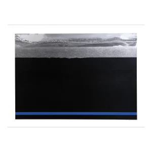 Night Landscape With Silver, Joseph Grippi