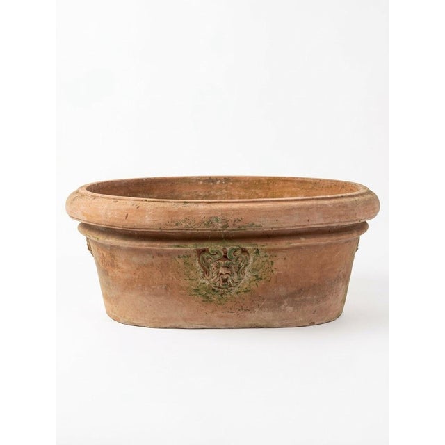 Bring timeless Mediterranean elegance to your garden or interior space with this striking vintage Tuscan-style terracotta...