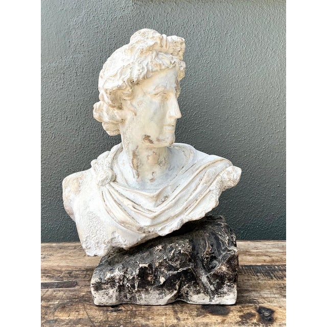 Vintage Cast Stone Bust of Apollo Belvedere For Sale - Image 17 of 18