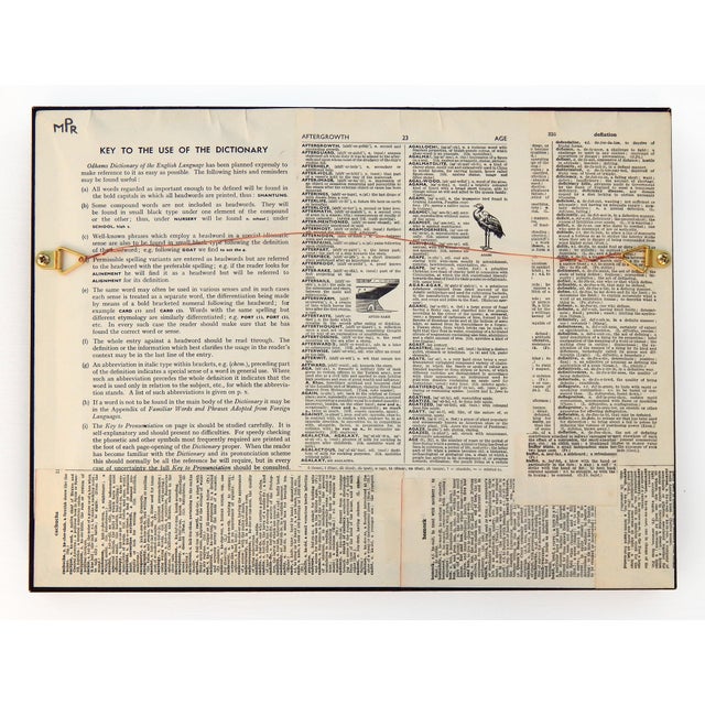 Matt Rix, Naive Style Maritime Sperm, 2000s, Print, Framed For Sale - Image 10 of 11