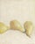 After Party Pears Repro Set (2) Paintings 16*20 Green Yellow Neutral Art by Carrie Bergey For Sale In San Francisco - Image 6 of 6