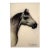 M. B. Sharma Original Indian Ink Drawing of a Horse’s Head on Synthetic Ivory For Sale