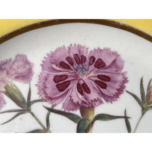 Porcelain Plates with Hand-Painted Botanical Theme from Royal Crown Derby, 18th Century, Set of 3 For Sale - Image 9 of 11